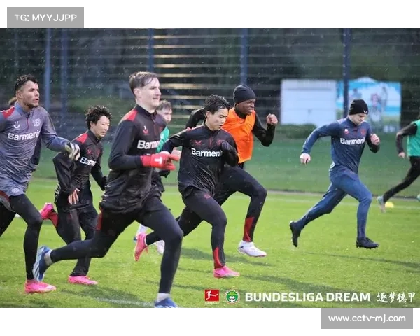 德甲青训体系成功之道：本土培养与国际引援的平衡艺术